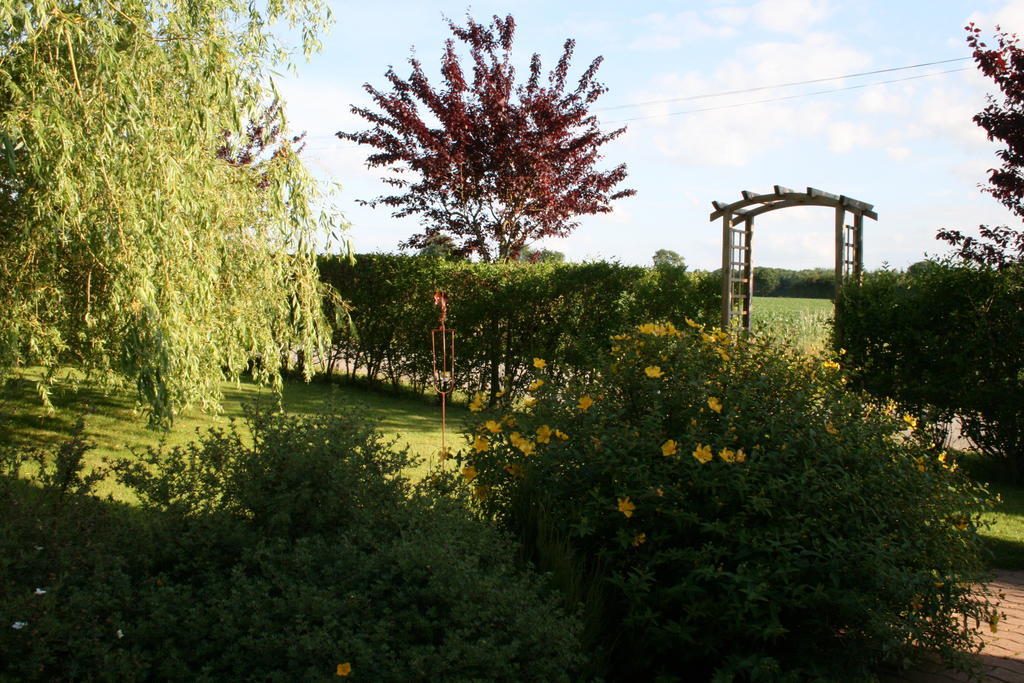 Herbages De Beauvais Orgères-la-Roche Exteriör bild